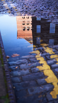 Reflection of the puddle