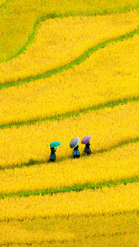 Cross border tourism between china and vietnam continues