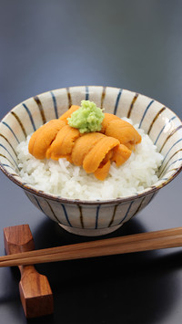 触动味蕾的北海道美食