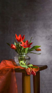 Red tulips in a glass vase. Spring still life