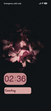 Pink Flower