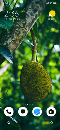 Jungle Jackfruit
