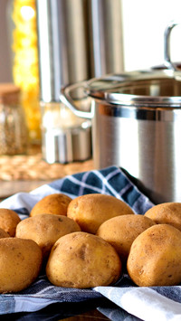 cook (3)