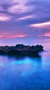 Tropical (15)