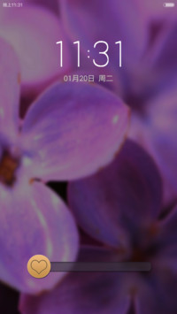 紫丁香