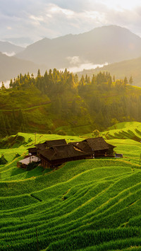Chinas most beautiful terraced fields ranked as terraced