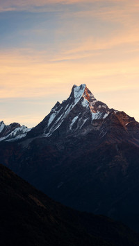 VCG41N1066409882
