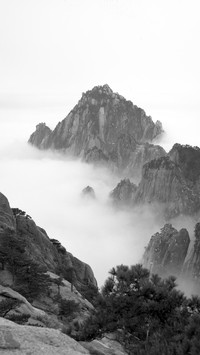 VCG21gic3316596