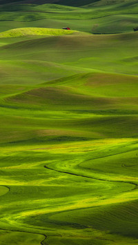 VCG41122714450