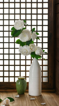 Flowers suitable for autumn cutting