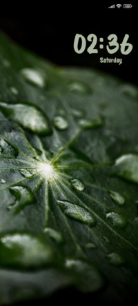 Drops