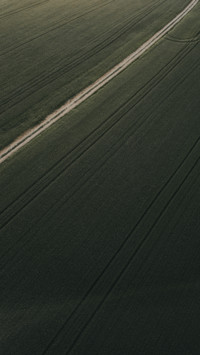 Earth From Above (12)
