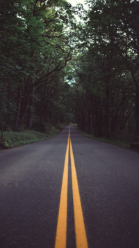 Roads (8)