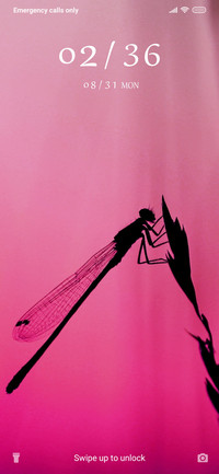 Dragonfly_3MDS