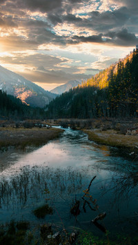 Green mountains and clear waters cow fat