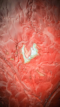 Powder blusher of the earth 2