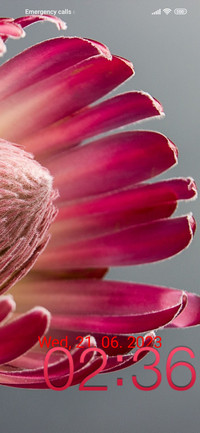 flowers petals