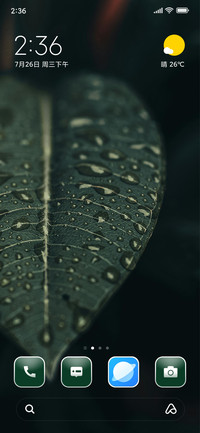 Droplets on Leaf