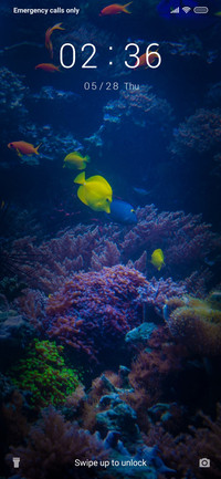 SeaLife_3MDS