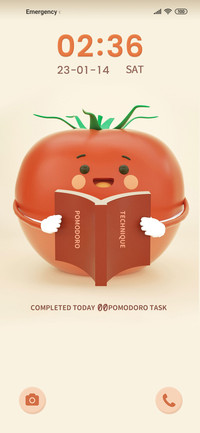 Pomodoro technique