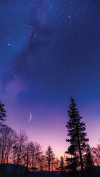night