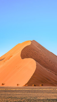 Guidelines for team building in the gobi desert