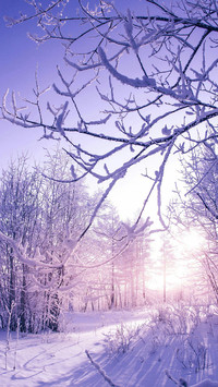 拍摄冬日的雪景