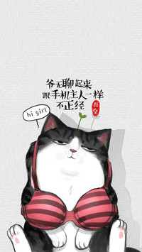 吾皇 (2)