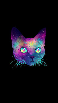 炫彩猫