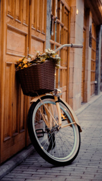 Bicycle (11)