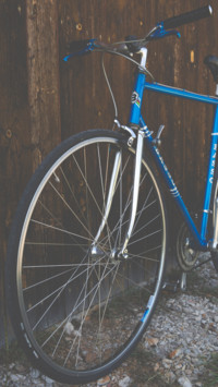 Bicycle (9)