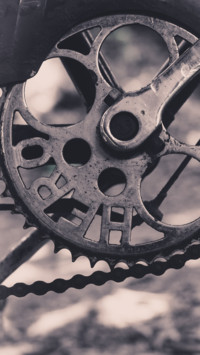 Bicycle (10)