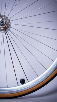 Bicycle (8)