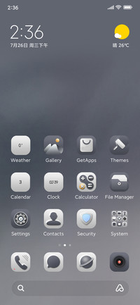 Grey Dream
