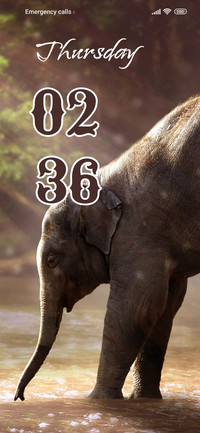 Elephant