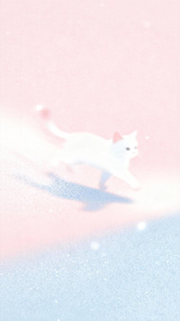 粉蓝渐变里的猫影微光