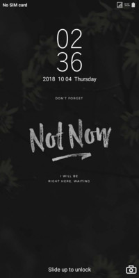 Night Flower v10