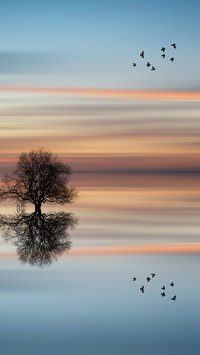 Landscape world-03