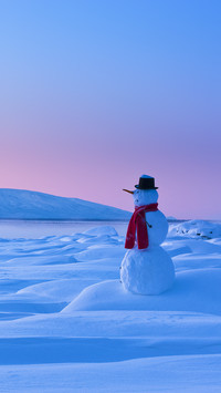 Snowman standing on the snow covered tidal flats of knik