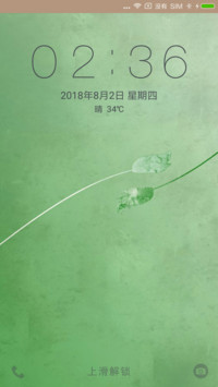 爱上绿玫瑰