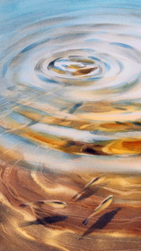Impressionist paintings