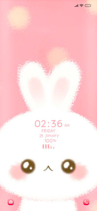 Rabbit sa