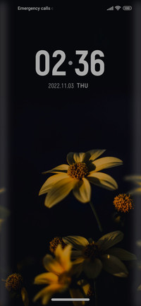 Flower_HD