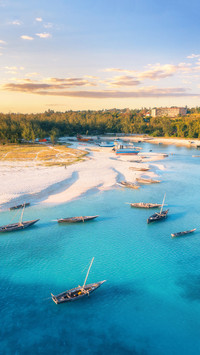 Aerial view of the fishing boats on tropical sea coast
