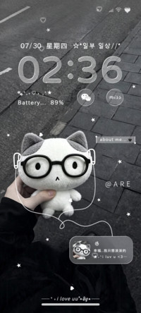 氛围感小猫心事