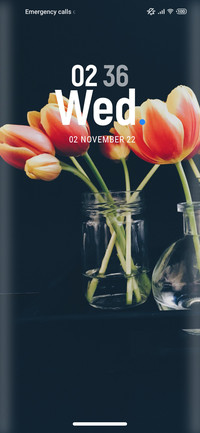 Flower