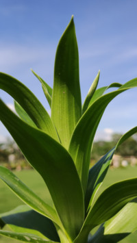 Redmi K20 B2 (9)