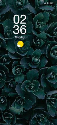 Green Rose