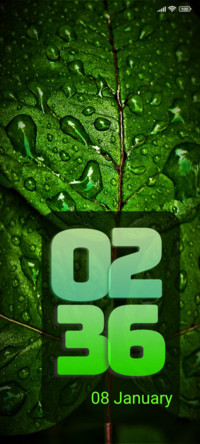 leaves wet
