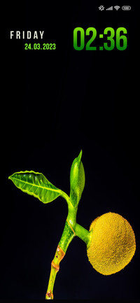 amoled fruits